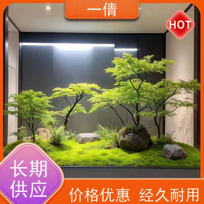 一倩花卉 前台 爱心榕 室内植物出租 种类繁多 规格齐全
