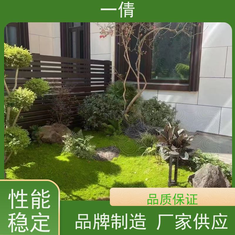 一倩花卉 前台 8层黄金果 绿植出售 种类繁多 规格齐全