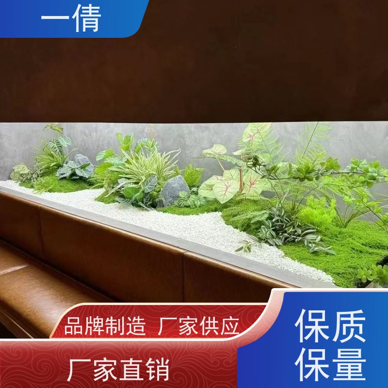一倩花卉 办公室 白掌 绿植租赁 全城配送 上门养护