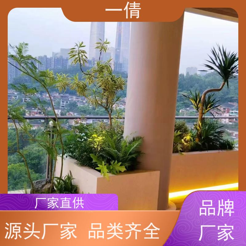 一倩花卉 前台 墨兰 绿植租赁 全城配送 上门养护