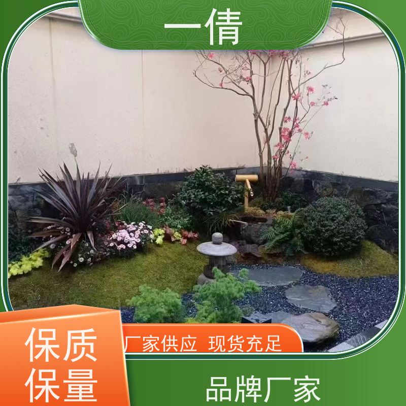 一倩花卉 室内 小罗汉松 开业花篮租赁 种类繁多 规格齐全