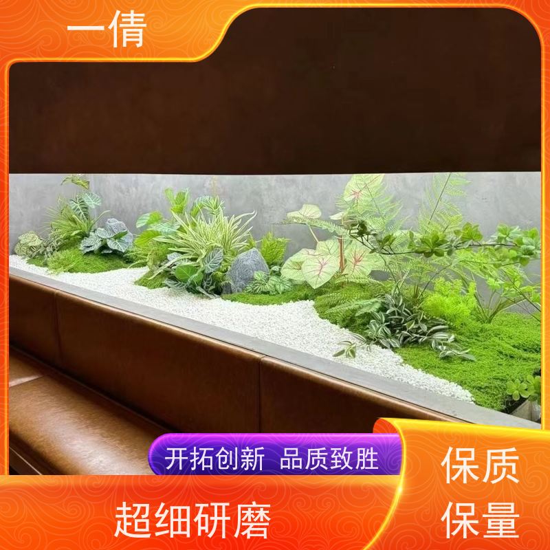 一倩花卉 办公室 造型螺纹铁 绿植租赁 全城配送 上门养护