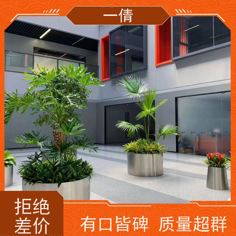 一倩花卉 前台 春雨 绿植租摆 种类繁多 规格齐全