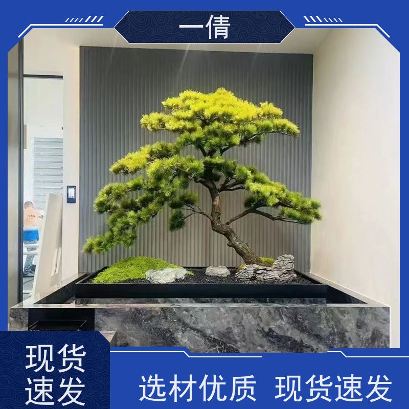 一倩花卉 室内 冬青 开业花篮租赁 全城配送 上门养护