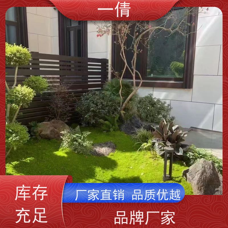 一倩花卉 前台 10层黄金果 开业花篮租赁 全城配送 上门养护