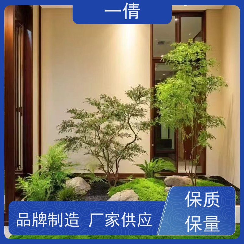 一倩花卉 办公室 超大冬青 室内植物出租 种类繁多 规格齐全