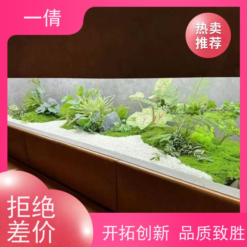 一倩花卉 室内 砖石翡翠 花卉租赁 桌面绿植 花木护理