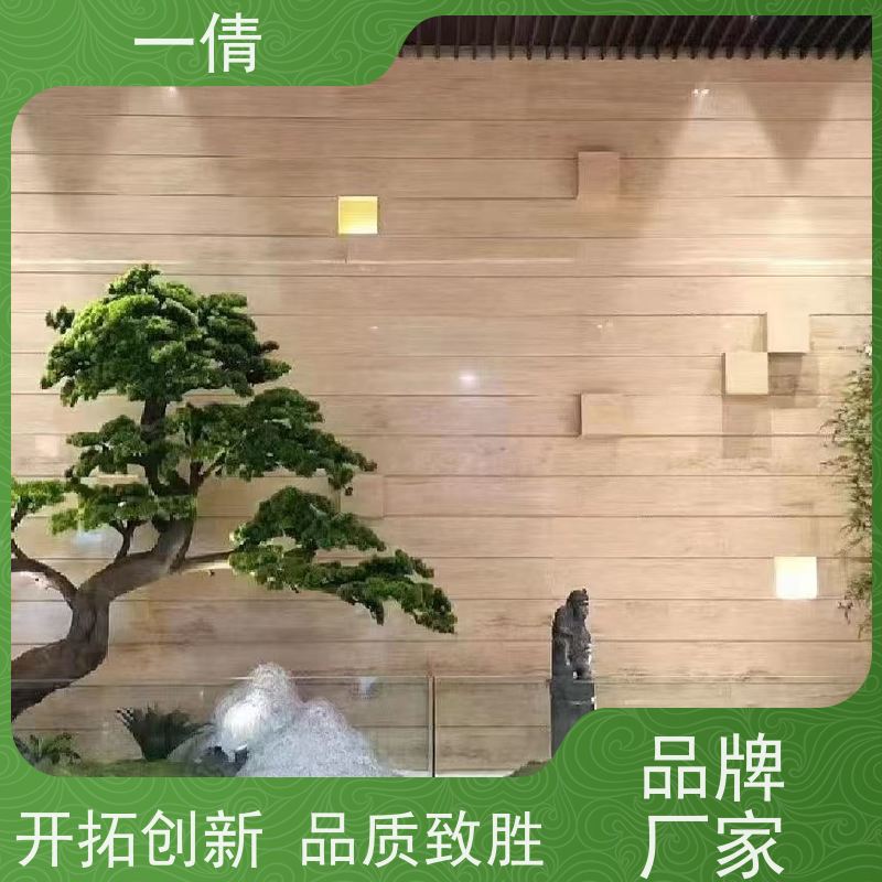 一倩花卉 室内 凤尾竹 花卉租赁 全城配送 上门养护