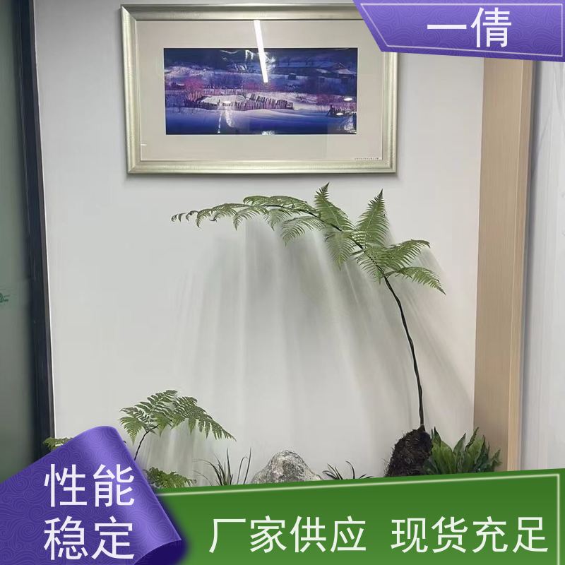 一倩花卉 室内 福禄桐 开业花篮租赁 种类繁多 规格齐全