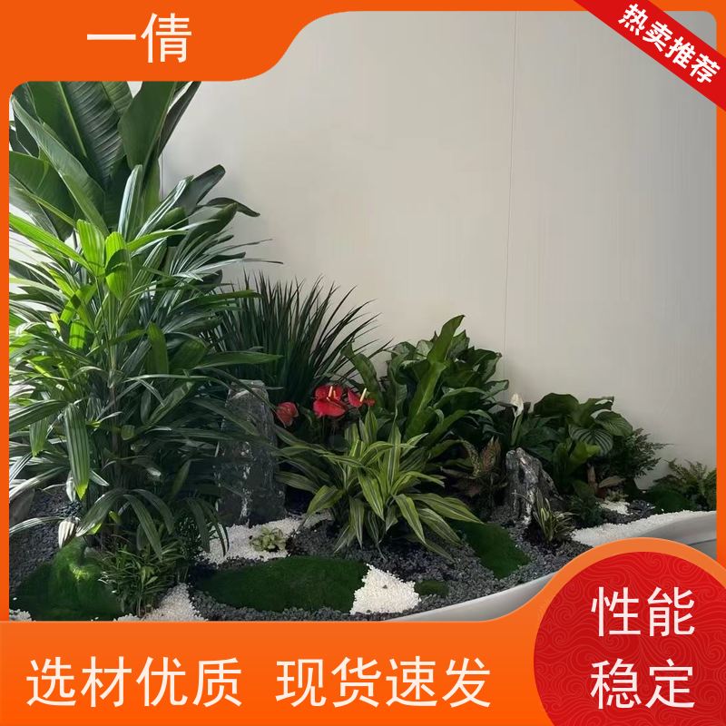 一倩花卉 前台 富贵籽 室内植物出租 种类繁多 规格齐全