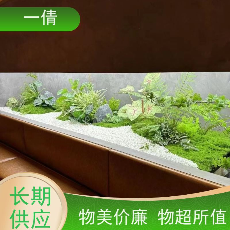 一倩花卉 办公室 造型螺纹铁 绿植租赁 净化空气