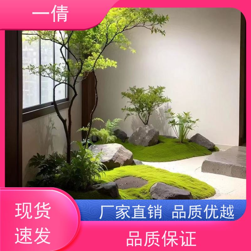 一倩花卉 前台 白掌 绿植出售 种类繁多 规格齐全