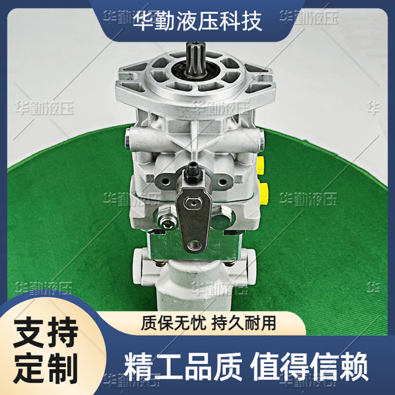  欧美品质 闭式变量柱塞泵 工作稳定可靠，专业值得信赖 TOMIW液压