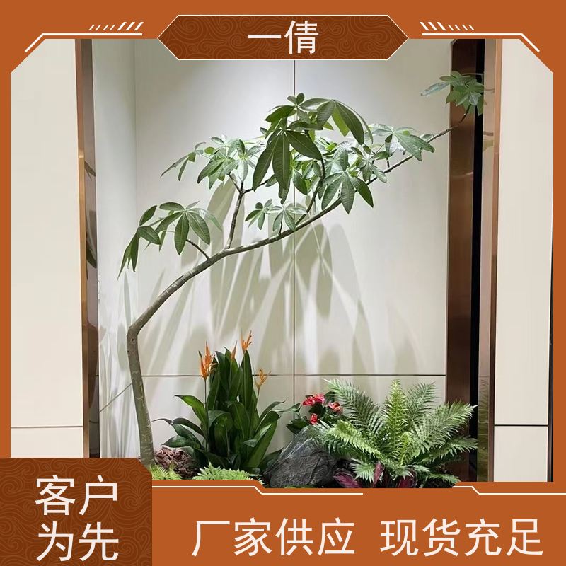 一倩花卉 前台 冬青） 绿植租赁 种类繁多 规格齐全