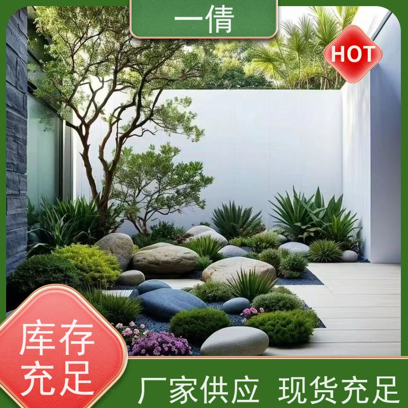 一倩花卉 室内 天堂鸟 绿植租摆 桌面绿植 花木护理