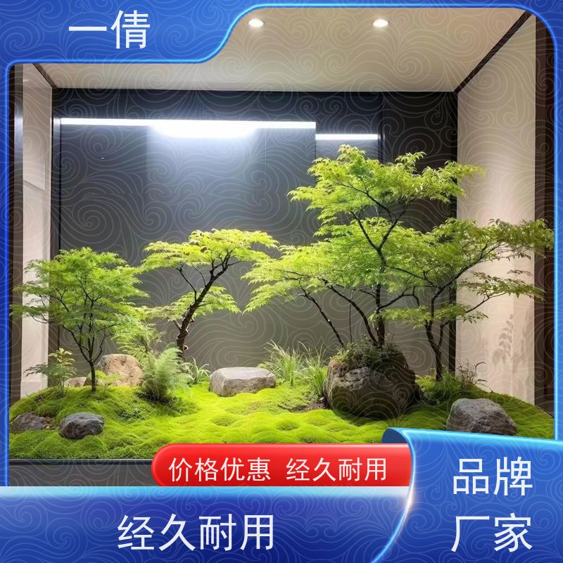 一倩花卉 办公室 小年桔盆景 室内植物出租 种类繁多 规格齐全