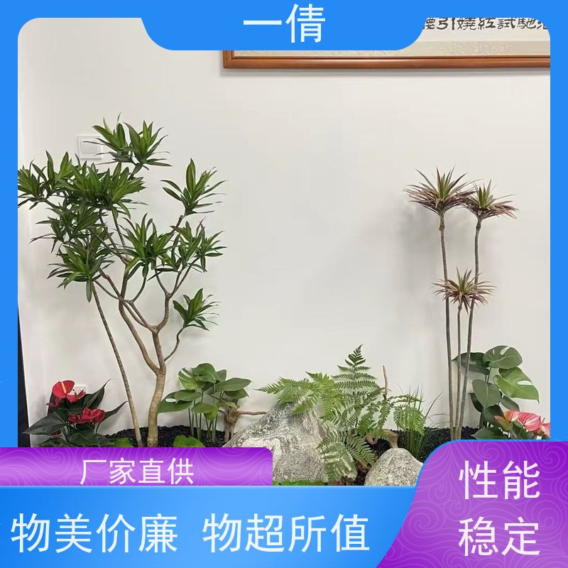 一倩花卉 前台 紫蝴蝶兰 开业花篮租赁 种类繁多 规格齐全