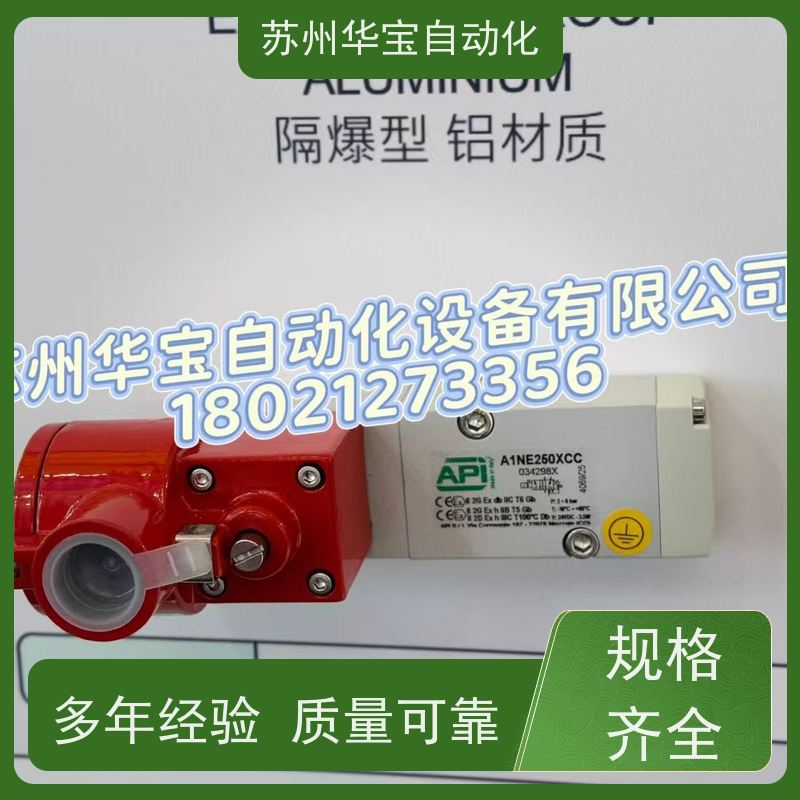 意大利API电磁阀50/100AMA ISO1E50 A1E150 DC24V