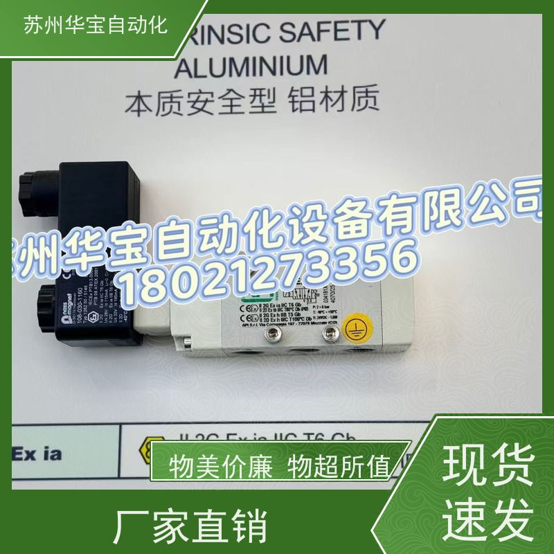 意大利API电磁阀A1NE250 A1NE250-DM A1E250 A1E150