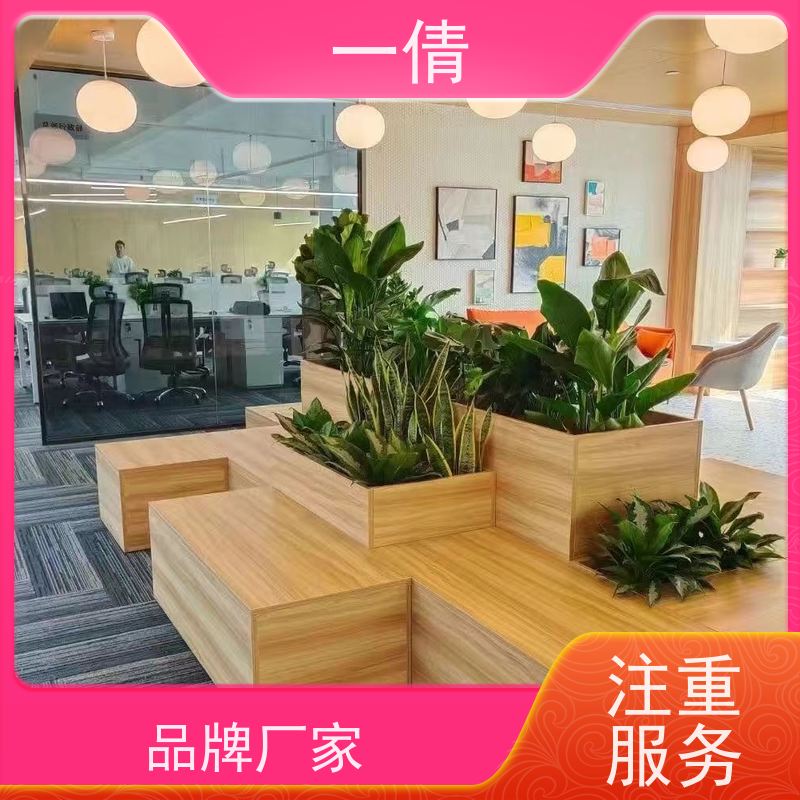 一倩花卉 办公室 大年桔盆景 绿植租摆 全城配送 上门养护