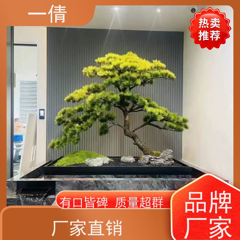 一倩花卉 室内 巴西美人 开业花篮租赁 净化空气