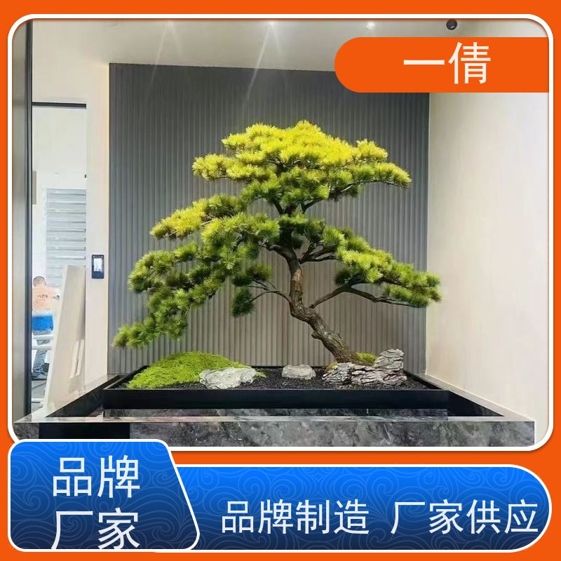一倩花卉 室内 大杨贵妃 室内植物出租 全城配送 上门养护