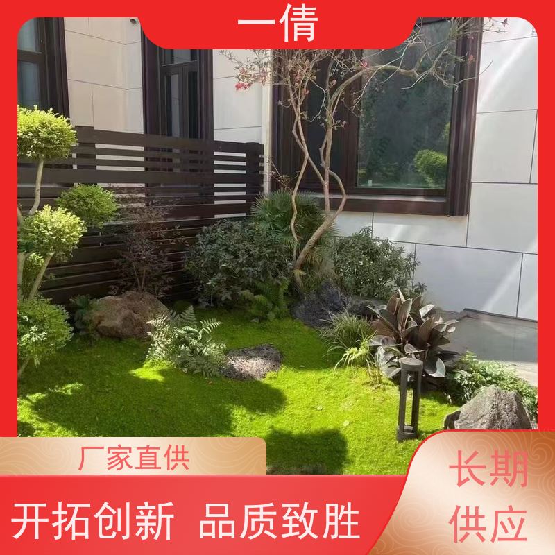 一倩花卉 室内 树厥 室内植物出租 桌面绿植 花木护理