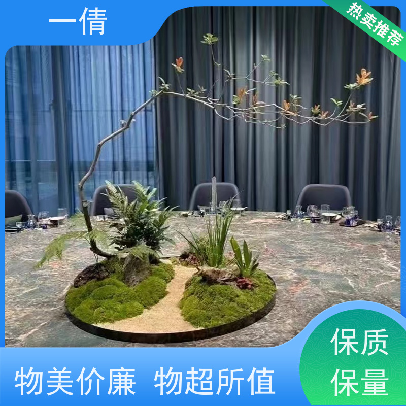 一倩花卉 深圳 7寸盆四季桔 绿植租赁 种类繁多 规格齐全