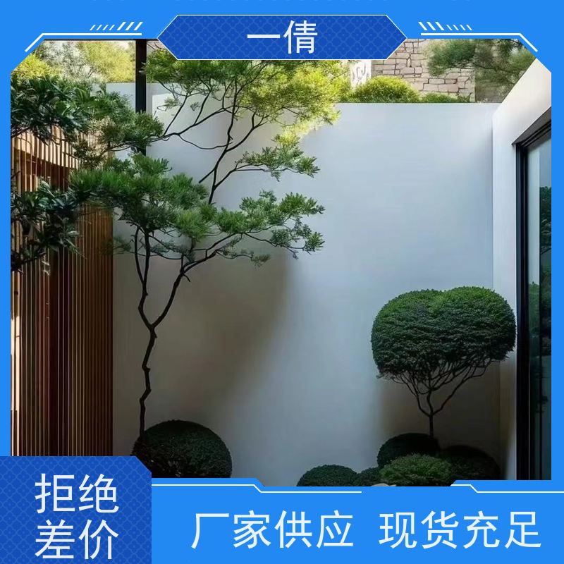 一倩花卉 深圳 如意 绿植出售 种类繁多 规格齐全
