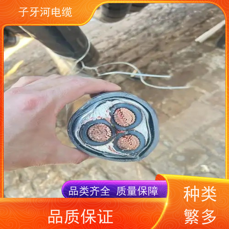 子牙河科技 可现场结算 多年经验 高价回收废旧 特种电缆