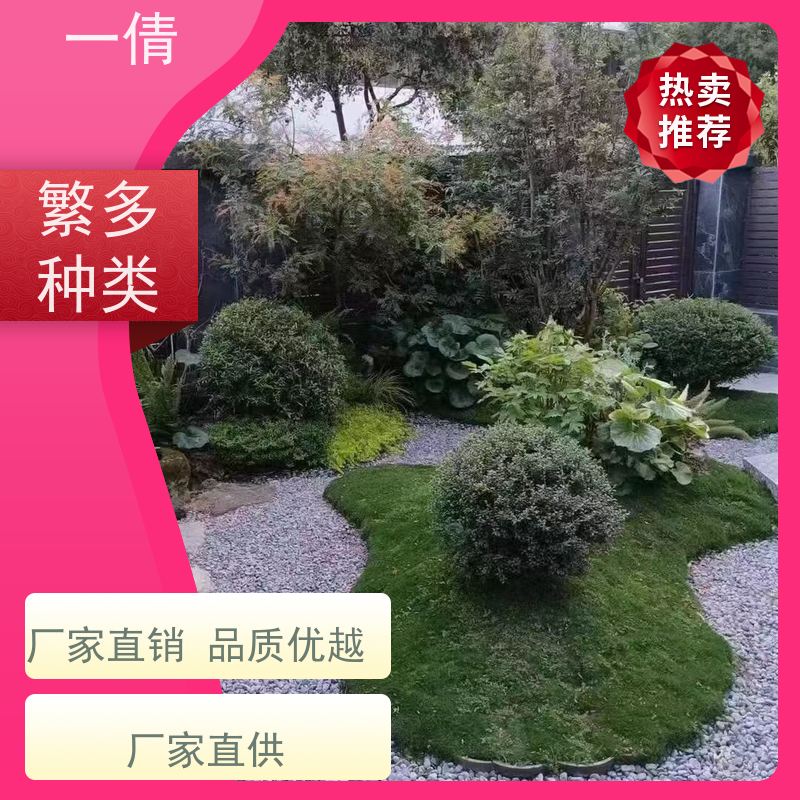 一倩花卉 室内 冬青） 开业花篮租赁 种类繁多 规格齐全