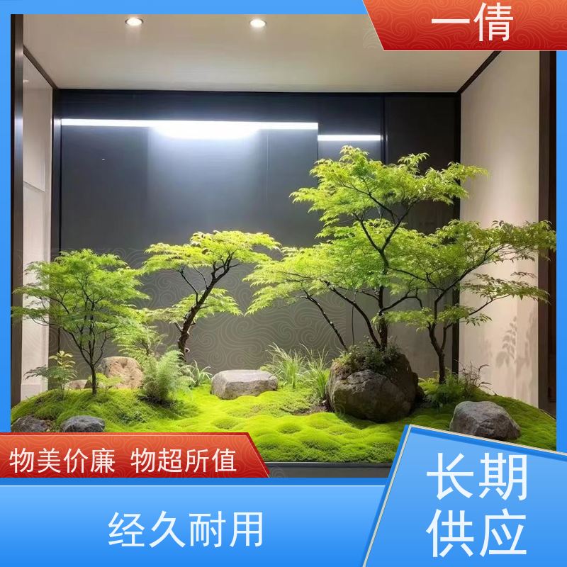 一倩花卉 办公室 蝴蝶兰 绿植租摆 全城配送 上门养护