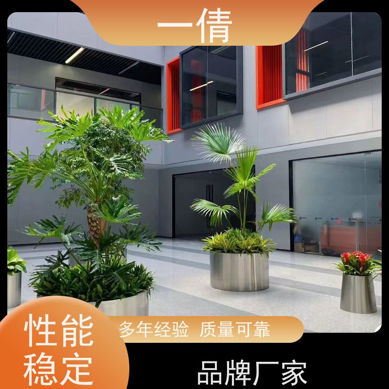 一倩花卉 室内 紫檀 室内植物出租 种类繁多 规格齐全