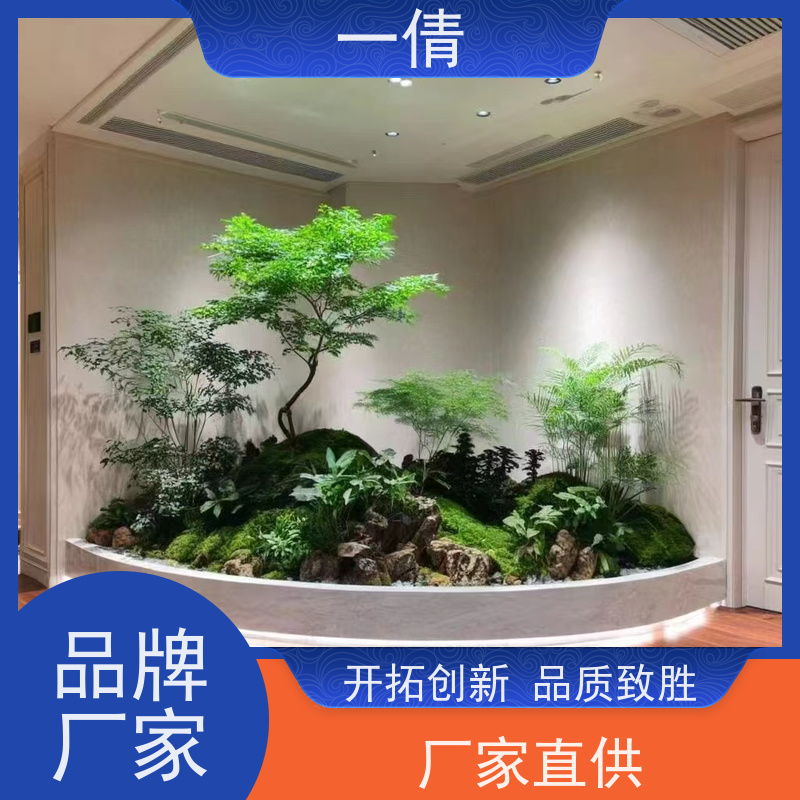 一倩花卉 前台 杨贵妃 绿植租赁 种类繁多 规格齐全