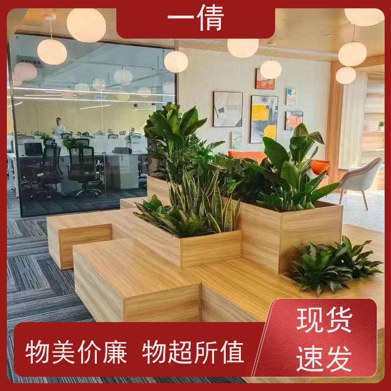一倩花卉 前台 蝴蝶兰 绿植租摆 桌面绿植 花木护理