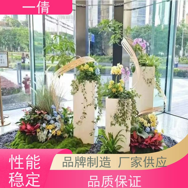 一倩花卉 办公室 小年桔盆景 室内植物出租 净化空气