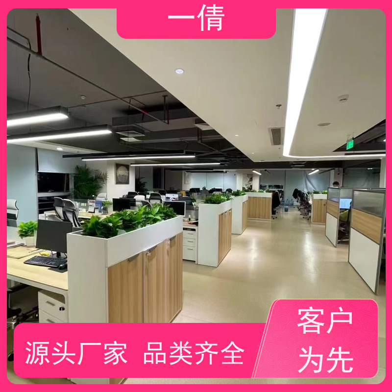 一倩花卉 深圳 铜钱草 绿植租摆 全城配送 上门养护