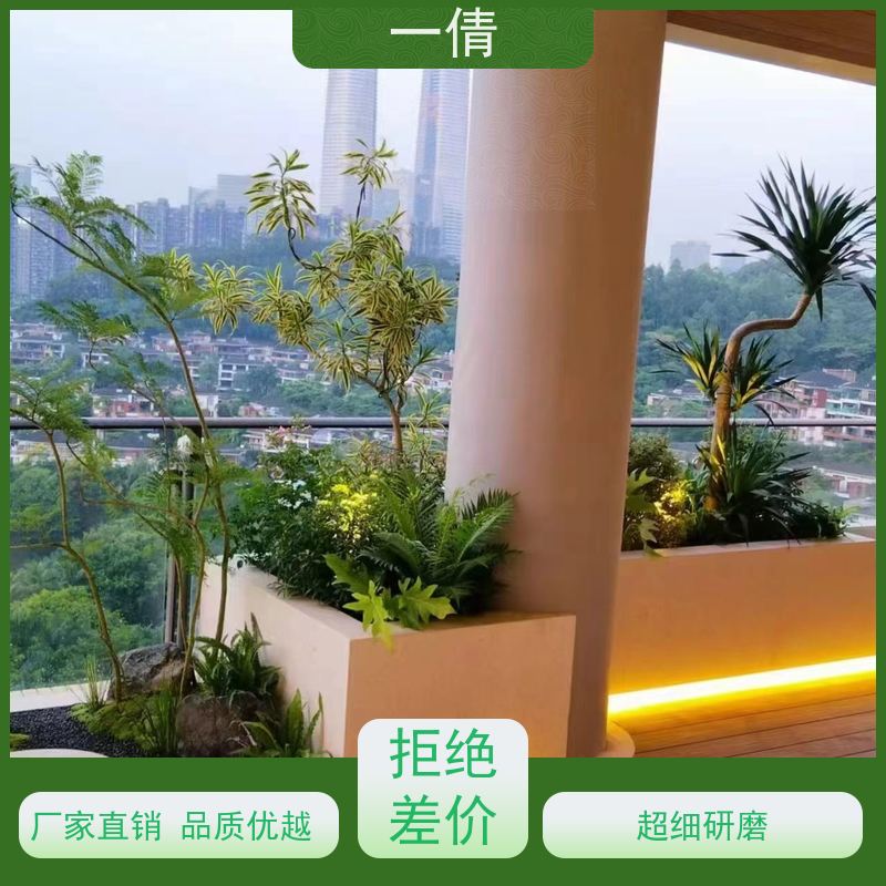 一倩花卉 深圳 砖石翡翠 绿植出售 种类繁多 规格齐全