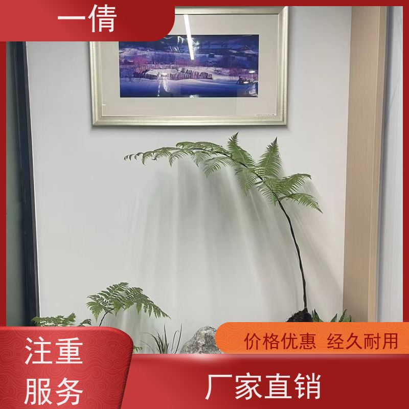 一倩花卉 前台 银斑葛 开业花篮租赁 桌面绿植 花木护理