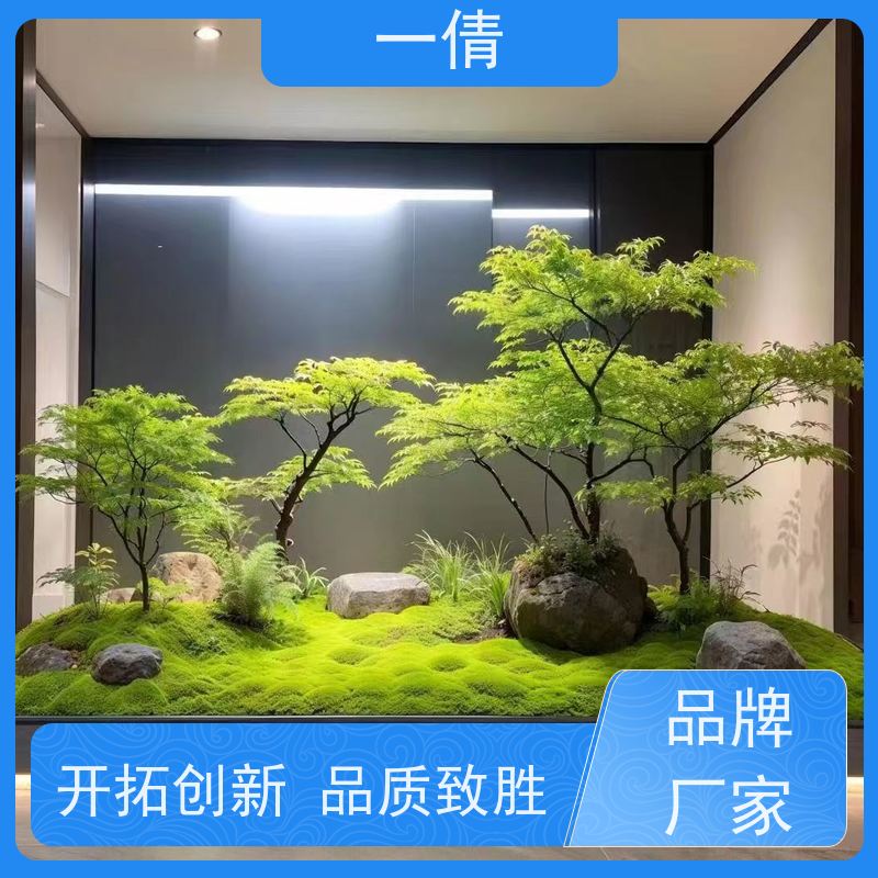 一倩花卉 前台 罗汉松 花卉租赁 全城配送 上门养护
