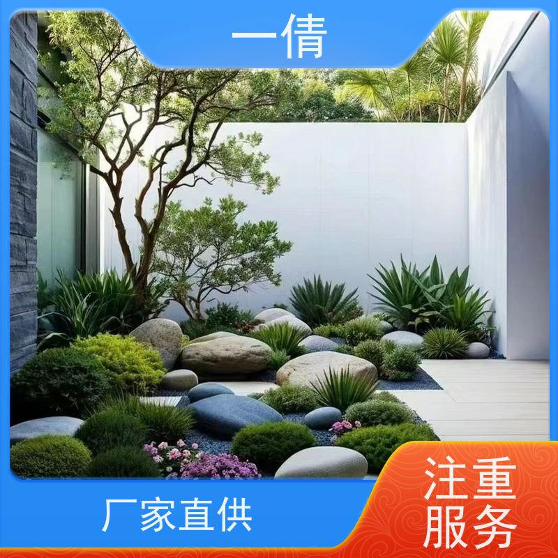 一倩花卉 办公室 单杆发财树 绿植出售 种类繁多 规格齐全