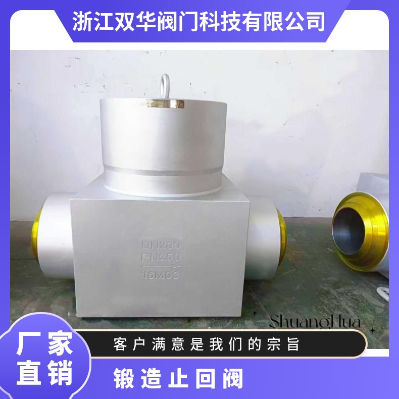 H64Y高压自由锻焊接止回阀 水力利控制 双华阀门质量保障