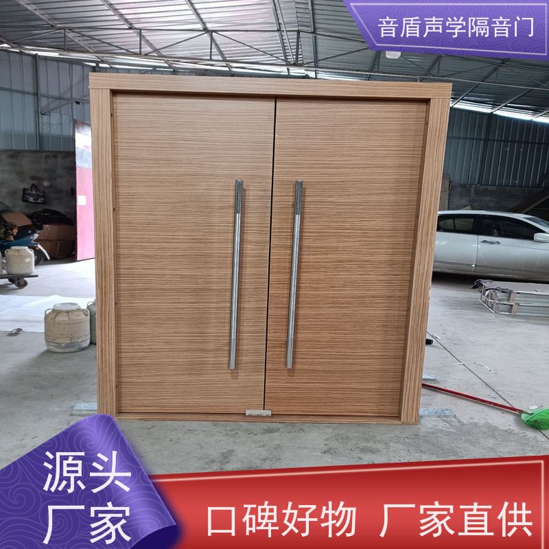 音盾 摄影棚 防火隔声门 品质保证 非标定制生产