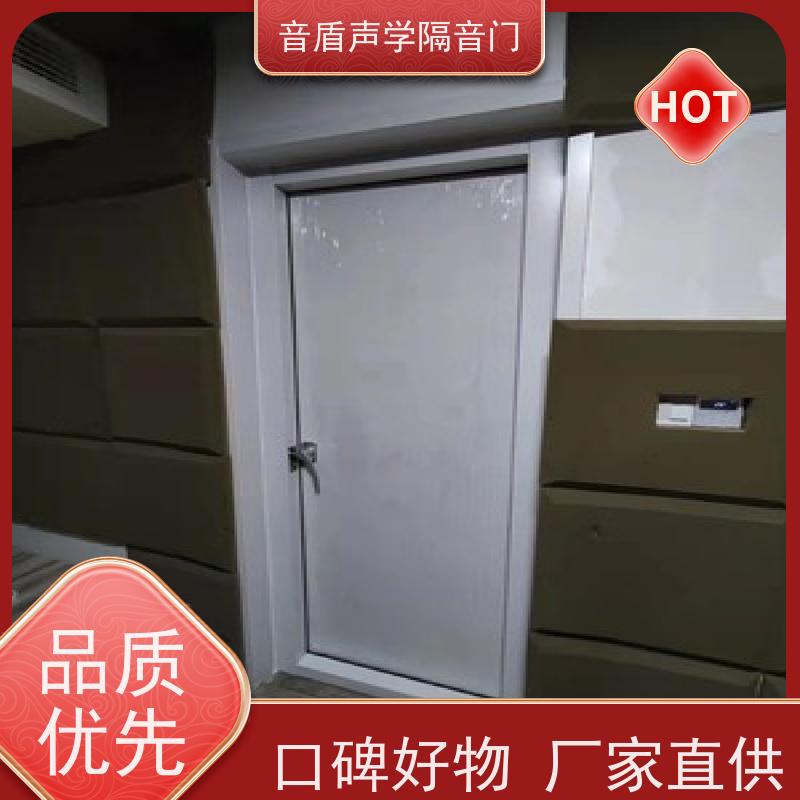 音盾科技 防盗 防火隔音门 品质保证 生产批发厂家