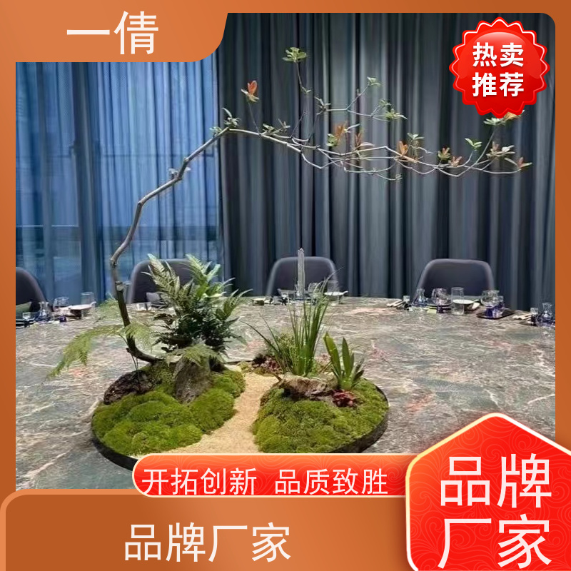 一倩花卉 深圳 10层黄金果 绿植租摆 种类繁多 规格齐全