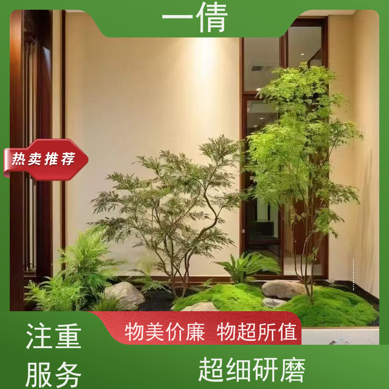 一倩花卉 办公室 满堂红 绿植租摆 全城配送 上门养护