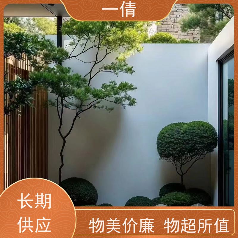 一倩花卉 办公室 三杆发财树 绿植租摆 全城配送 上门养护