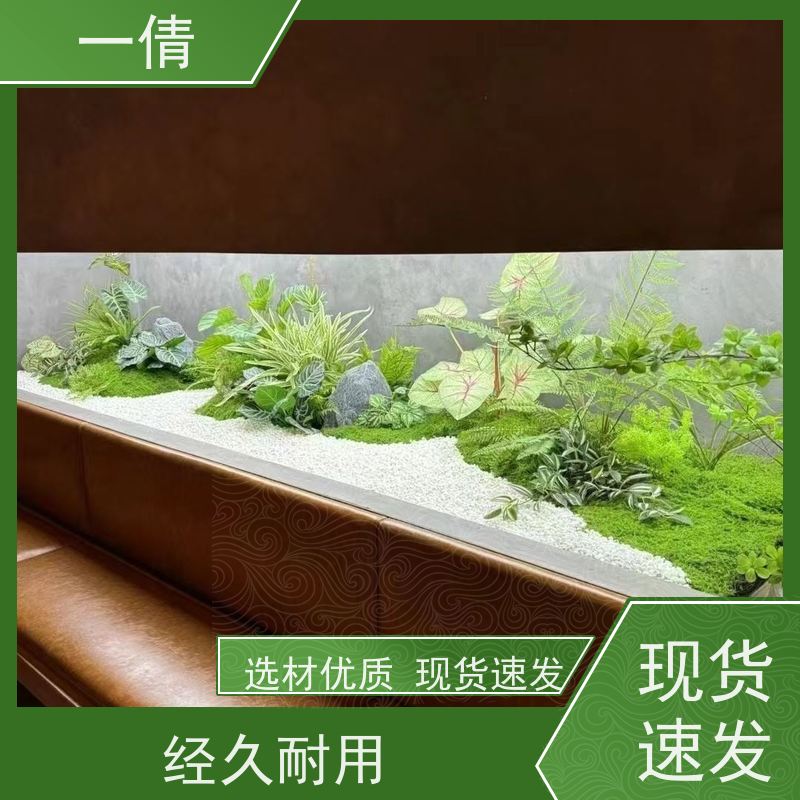 一倩花卉 前台 8层黄金果 绿植租赁 全城配送 上门养护
