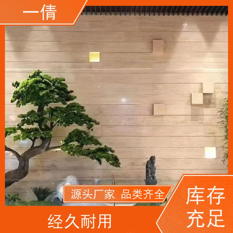 一倩花卉 深圳 金钻 绿植租摆 种类繁多 规格齐全