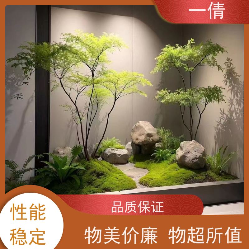 一倩花卉 深圳 小罗汉松 开业花篮租赁 全城配送 上门养护